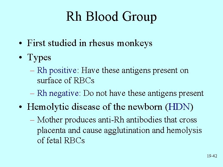 Rh Blood Group • First studied in rhesus monkeys • Types – Rh positive: