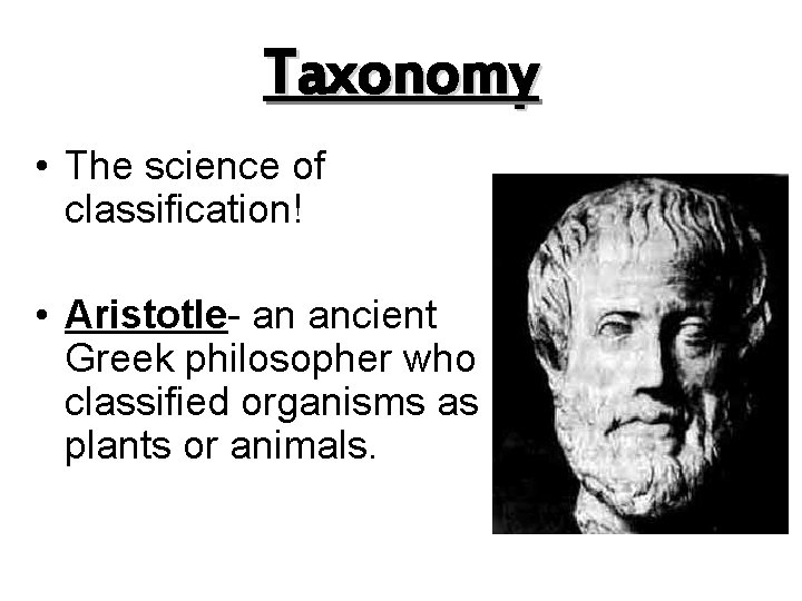 Taxonomy • The science of classification! • Aristotle- an ancient Greek philosopher who classified
