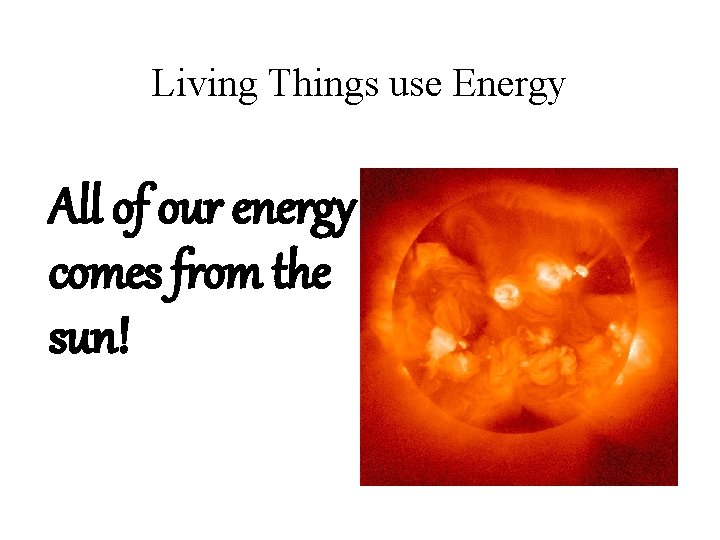 Living Things use Energy All of our energy comes from the sun! 