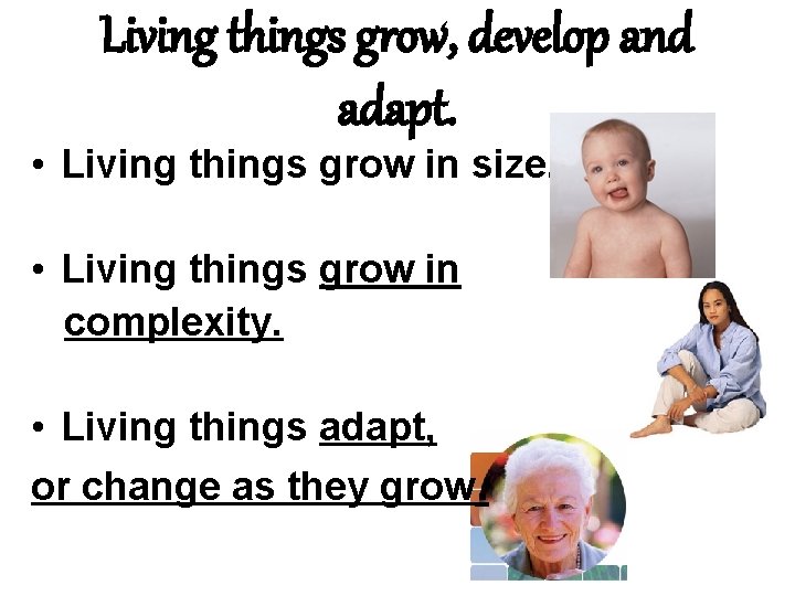 Living things grow, develop and adapt. • Living things grow in size. • Living