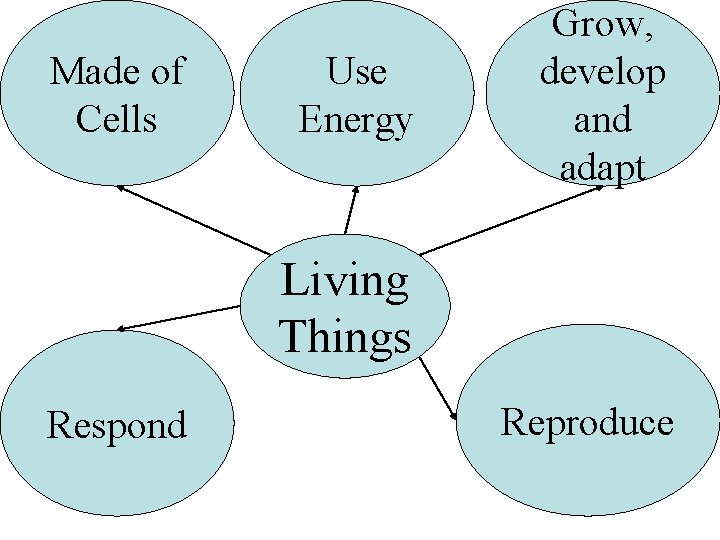 Made of Cells Use Energy Grow, develop and adapt Living Things Respond Reproduce 