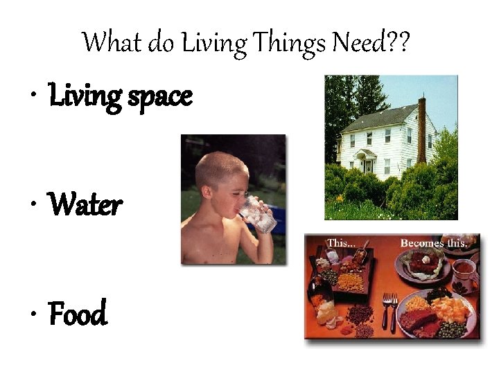 What do Living Things Need? ? • Living space • Water • Food 