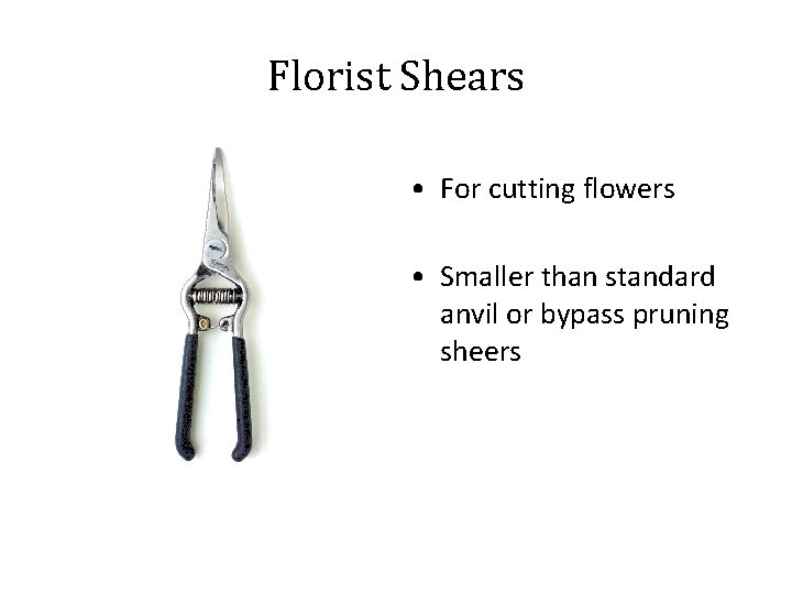 Florist Shears • For cutting flowers • Smaller than standard anvil or bypass pruning