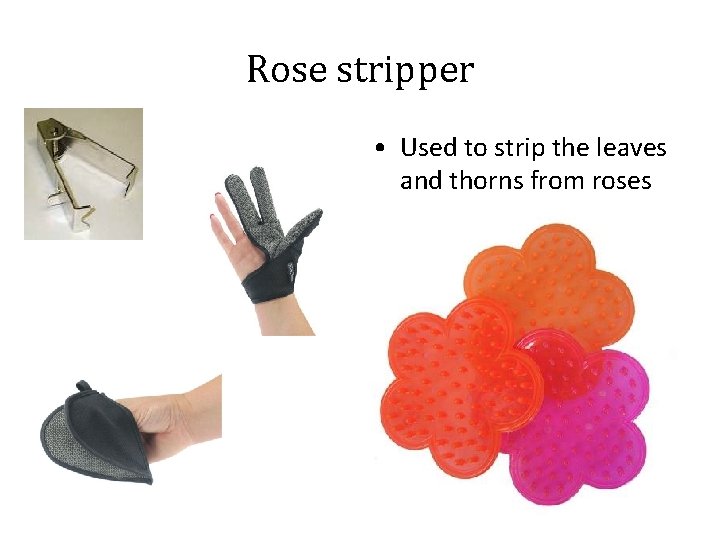 Rose stripper • Used to strip the leaves and thorns from roses 