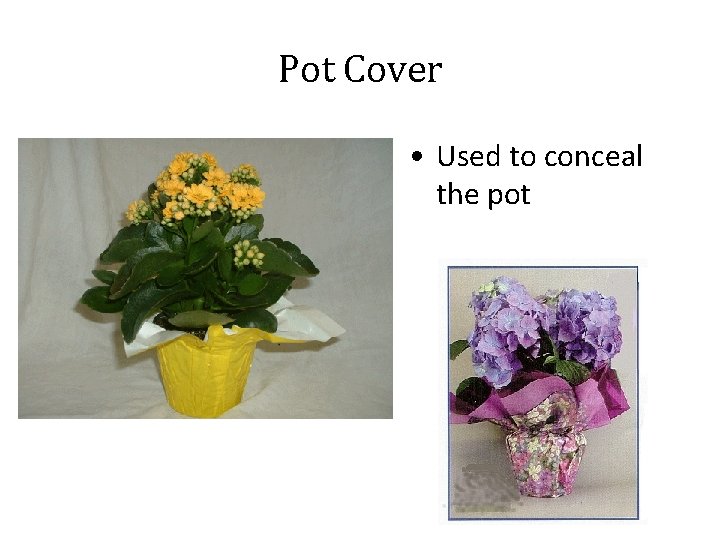 Pot Cover • Used to conceal the pot 