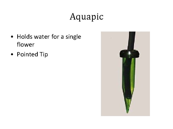 Aquapic • Holds water for a single flower • Pointed Tip 
