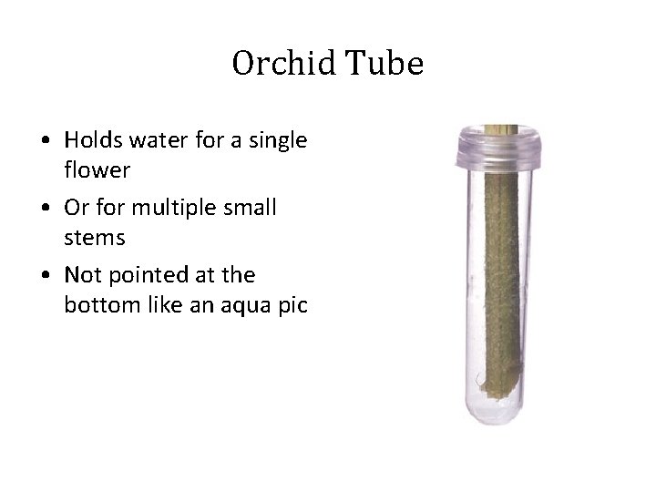 Orchid Tube • Holds water for a single flower • Or for multiple small