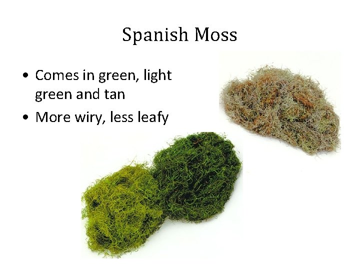 Spanish Moss • Comes in green, light green and tan • More wiry, less