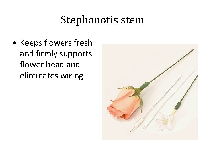 Stephanotis stem • Keeps flowers fresh and firmly supports flower head and eliminates wiring