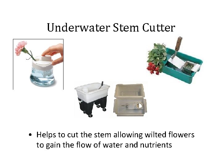Underwater Stem Cutter • Helps to cut the stem allowing wilted flowers to gain