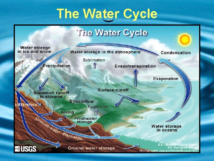 The Water Cycle 