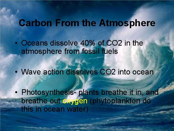 Carbon From the Atmosphere • Oceans dissolve 40% of CO 2 in the atmosphere