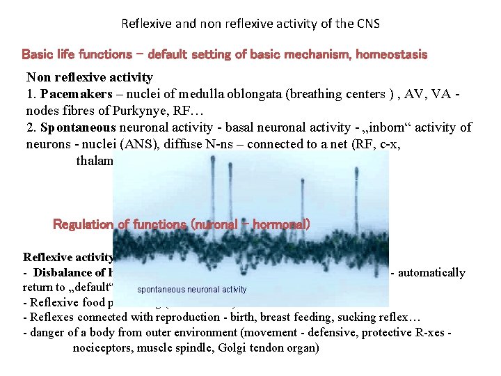 Reflexive and non reflexive activity of the CNS Basic life functions – default setting