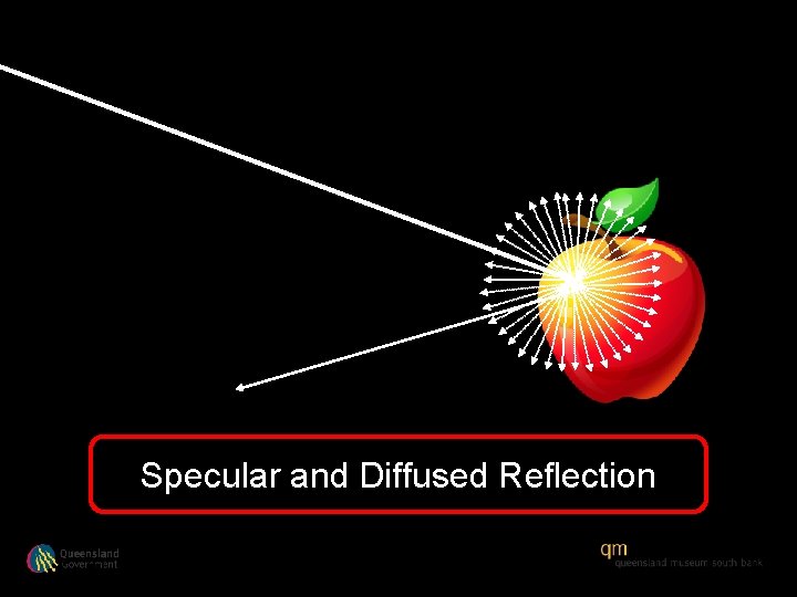 Specular and Diffused Reflection 