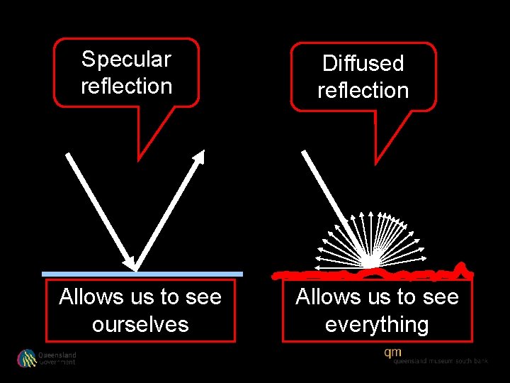 Specular reflection Allows us to see ourselves Diffused reflection Allows us to see everything