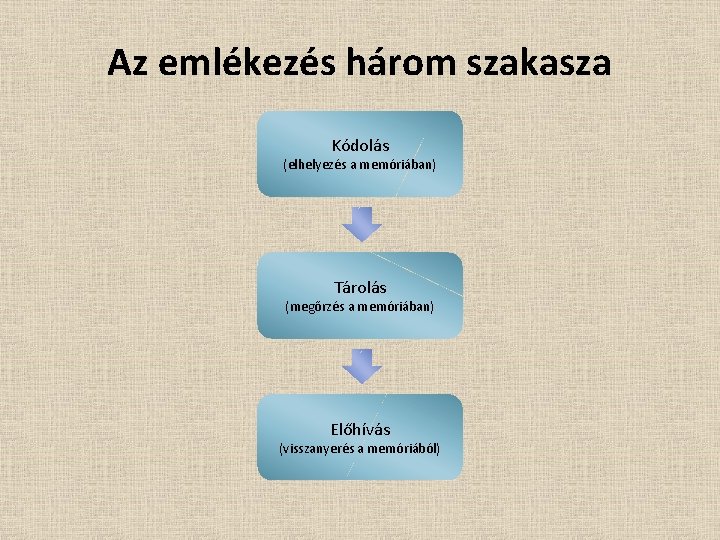 Az emlékezés három szakasza Kódolás (elhelyezés a memóriában) Tárolás (megőrzés a memóriában) Előhívás (visszanyerés Az emlékezés három szakasza Kódolás (elhelyezés a memóriában) Tárolás (megőrzés a memóriában) Előhívás (visszanyerés