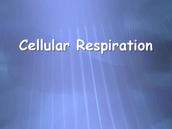 Cellular Respiration 