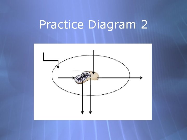 Practice Diagram 2 