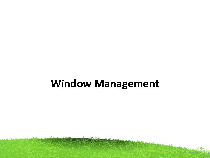 Window Management 