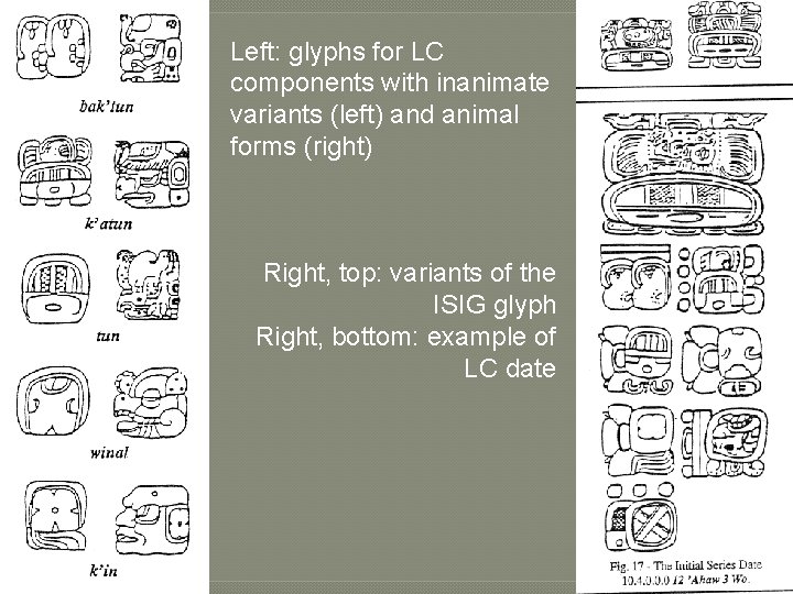 Left: glyphs for LC components with inanimate variants (left) and animal forms (right) Right,