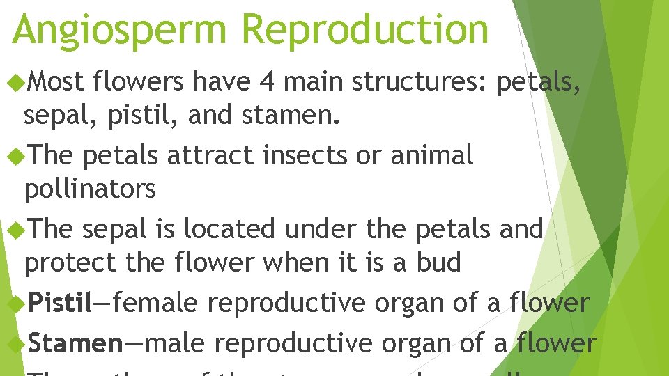 Angiosperm Reproduction Most flowers have 4 main structures: petals, sepal, pistil, and stamen. The