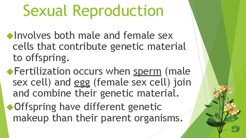 Sexual Reproduction Involves both male and female sex cells that contribute genetic material to