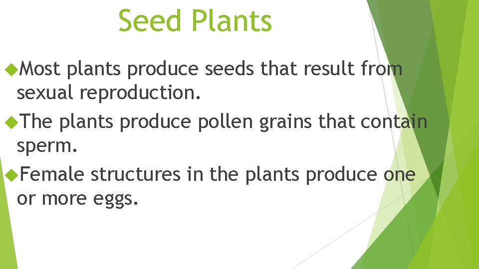 Seed Plants Most plants produce seeds that result from sexual reproduction. The plants produce