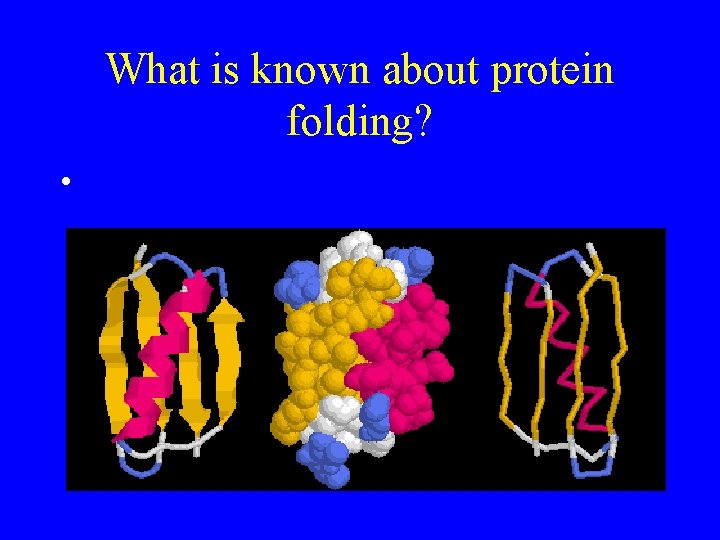 What is known about protein folding? • 
