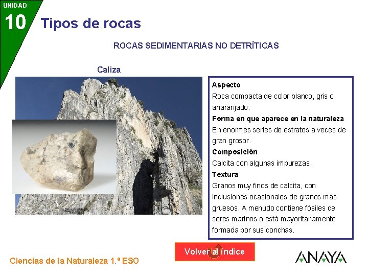 UNIDAD 10 3 Tipos de rocas ROCAS SEDIMENTARIAS NO DETRÍTICAS Caliza Aspecto Roca compacta