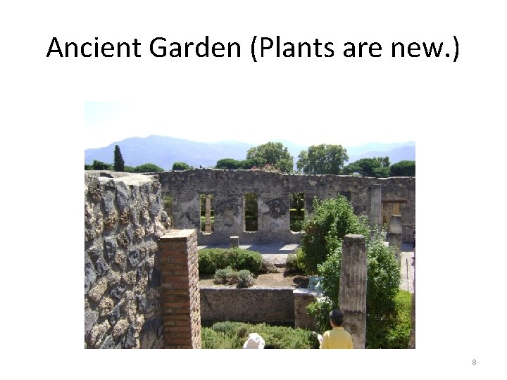 Ancient Garden (Plants are new. ) 8 