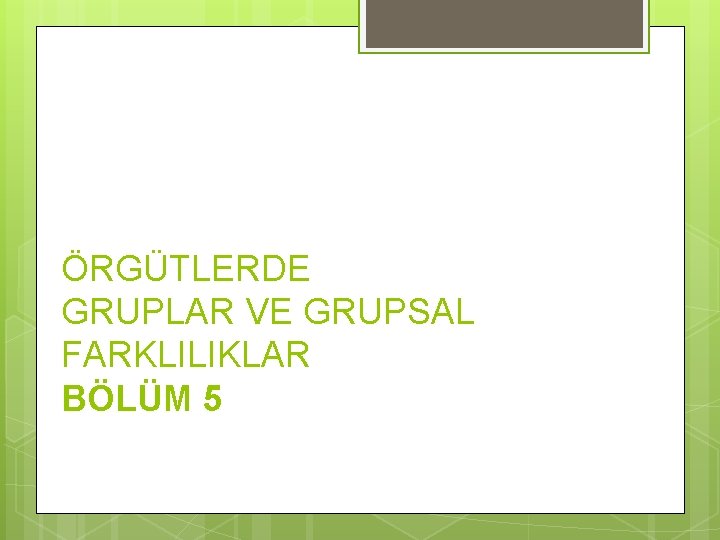 ÖRGÜTLERDE GRUPLAR VE GRUPSAL FARKLILIKLAR BÖLÜM 5 