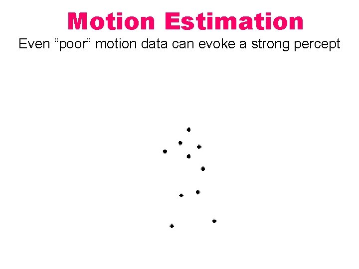 Motion Estimation Even “poor” motion data can evoke a strong percept 