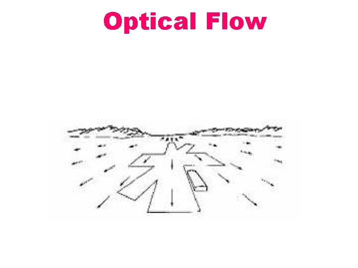 Optical Flow 