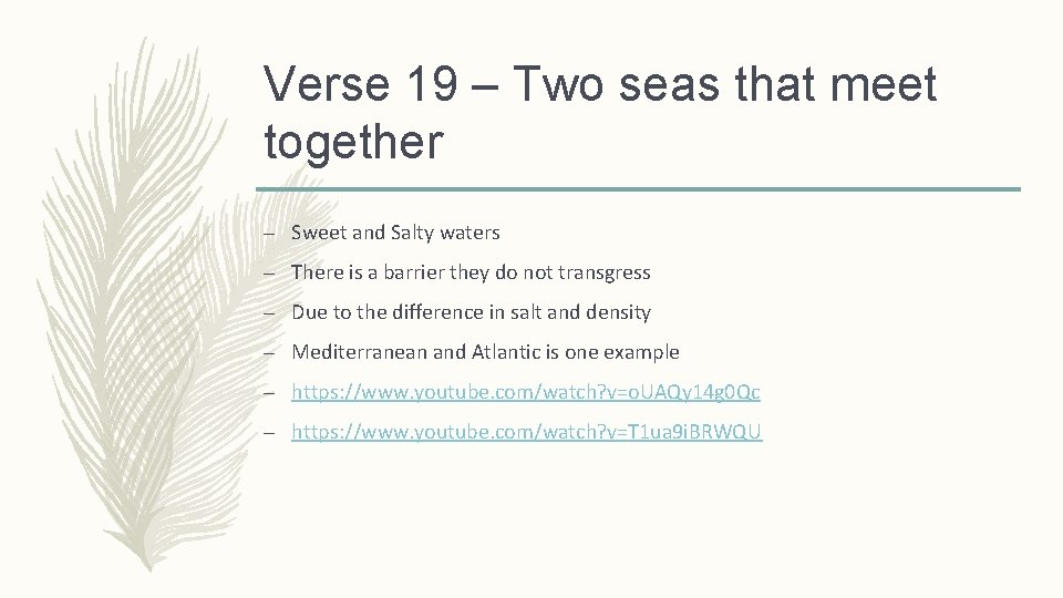 Verse 19 – Two seas that meet together – Sweet and Salty waters –