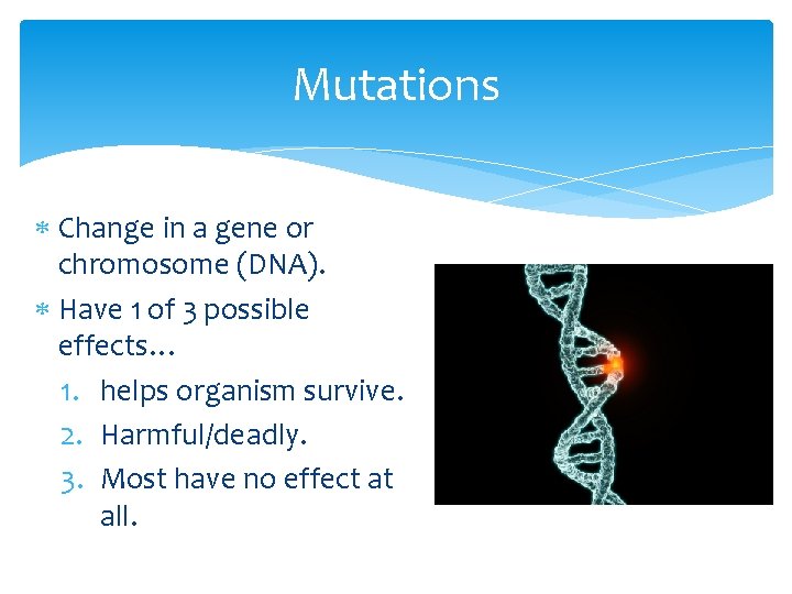 Mutations Change in a gene or chromosome (DNA). Have 1 of 3 possible effects…
