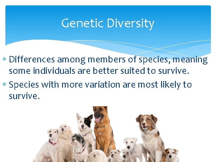 Genetic Diversity Differences among members of species, meaning some individuals are better suited to
