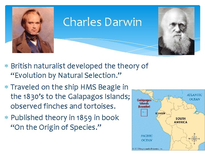 Charles Darwin British naturalist developed theory of “Evolution by Natural Selection. ” Traveled on