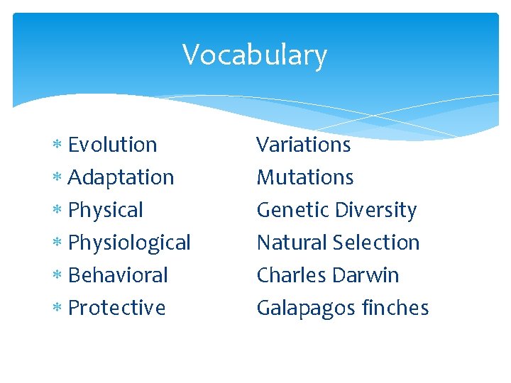Vocabulary Evolution Adaptation Physical Physiological Behavioral Protective Variations Mutations Genetic Diversity Natural Selection Charles