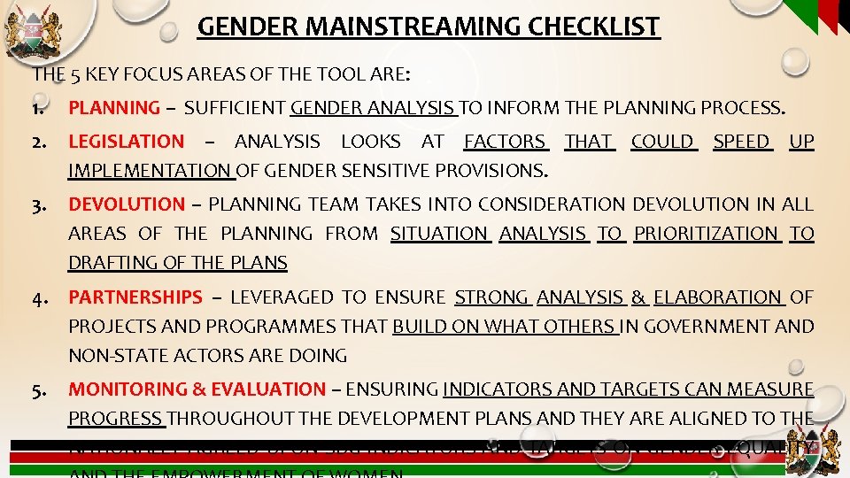 GENDER MAINSTREAMING CHECKLIST THE 5 KEY FOCUS AREAS OF THE TOOL ARE: 1. PLANNING