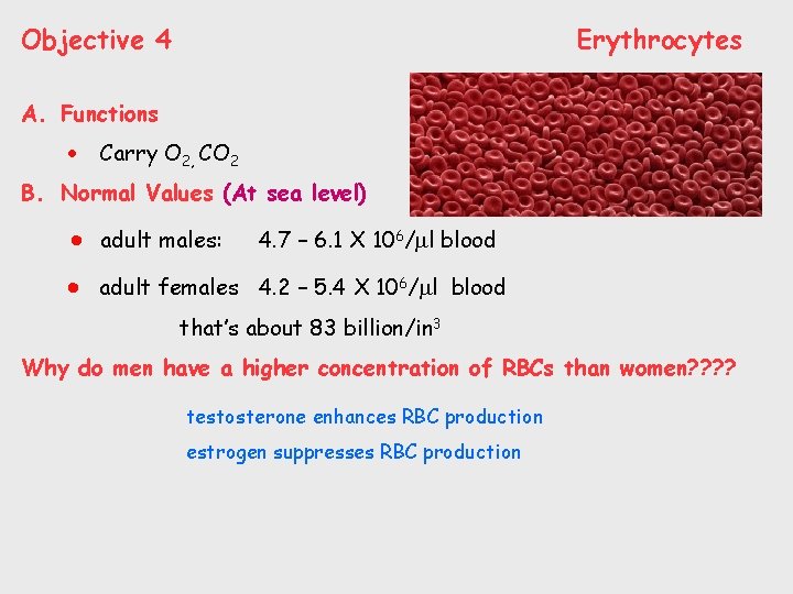 Objective 4 Erythrocytes A. Functions Carry O 2, CO 2 B. Normal Values (At
