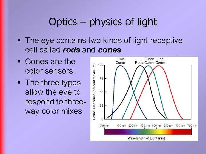 Optics – physics of light § The eye contains two kinds of light-receptive cell