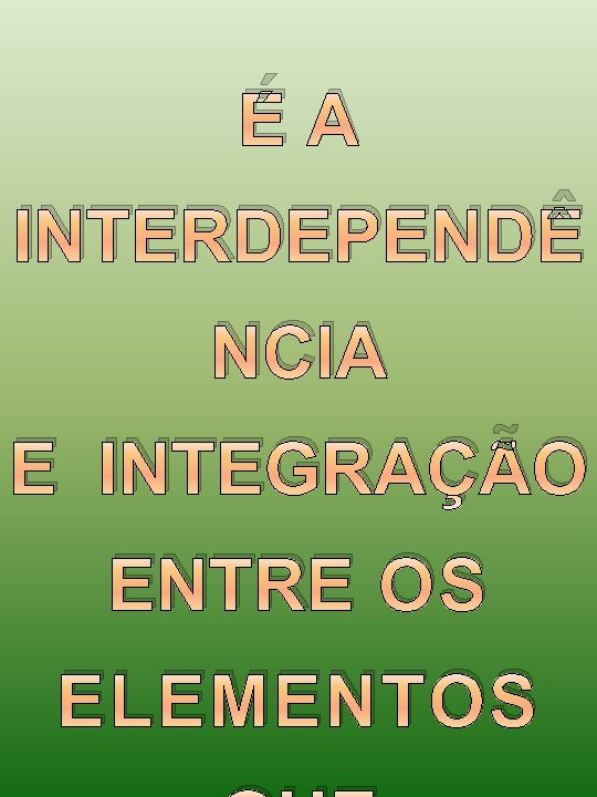 ÉA INTERDEPENDÊ NCIA E INTEGRAÇÃO ENTRE OS ELEMENTOS 