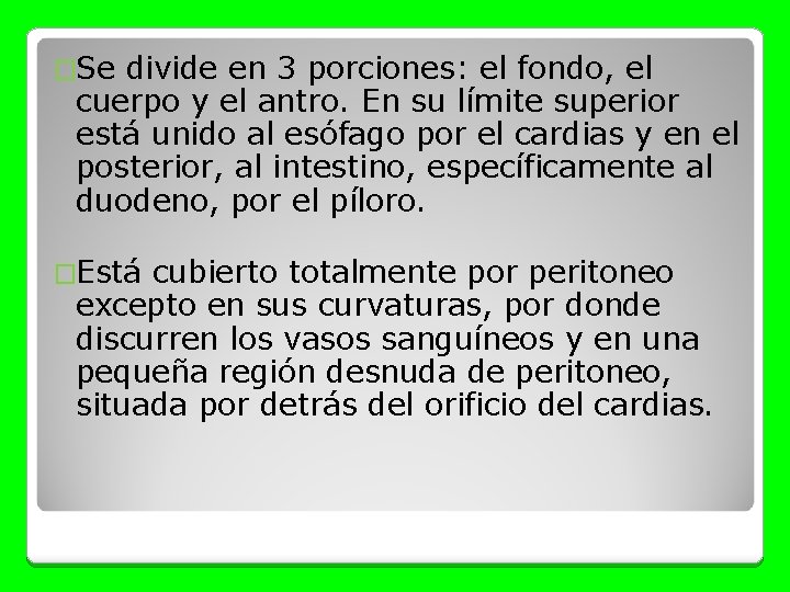 �Se divide en 3 porciones: el fondo, el cuerpo y el antro. En su