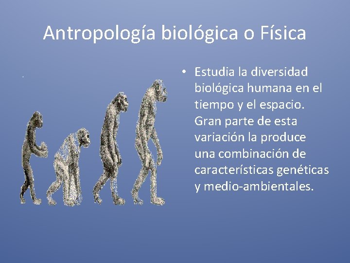 Antropología biológica o Física • Estudia la diversidad biológica humana en el tiempo y