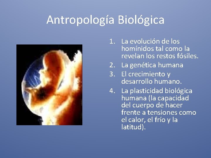 Antropología Biológica 1. La evolución de los homínidos tal como la revelan los restos
