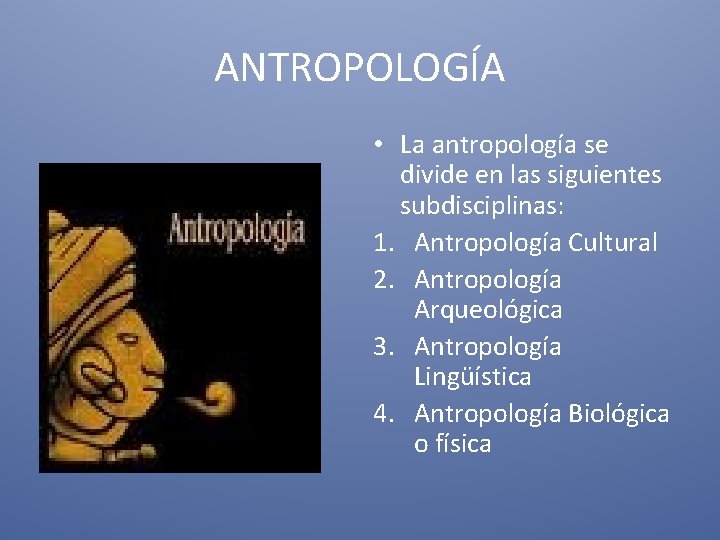 ANTROPOLOGÍA • La antropología se divide en las siguientes subdisciplinas: 1. Antropología Cultural 2.