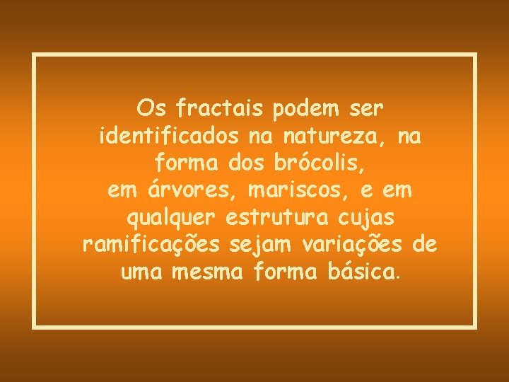 Os fractais podem ser identificados na natureza, na forma dos brócolis, em árvores, mariscos,