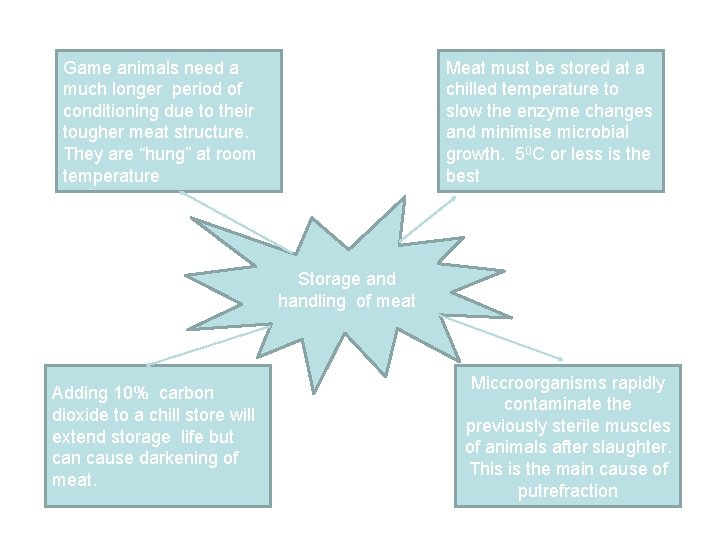 Game animals need a much longer period of conditioning due to their tougher meat