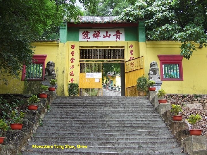 Monastère Tsing Shan, Chine 