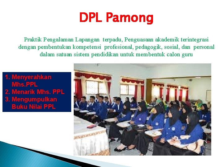 DPL Pamong Praktik Pengalaman Lapangan terpadu, Penguasaan akademik terintegrasi dengan pembentukan kompetensi profesional, pedagogik,